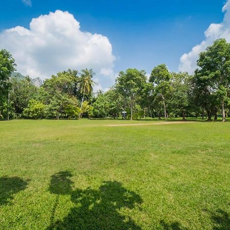 Mps Village Dambulla Kültér fotó