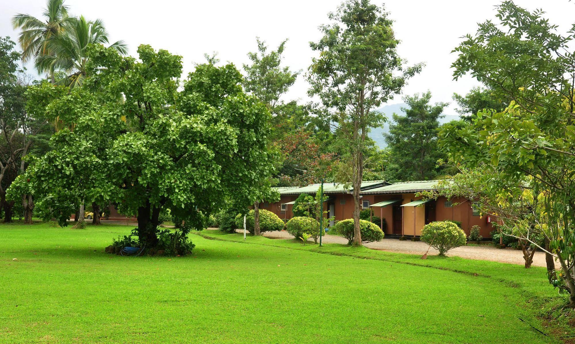 Mps Village Dambulla Kültér fotó