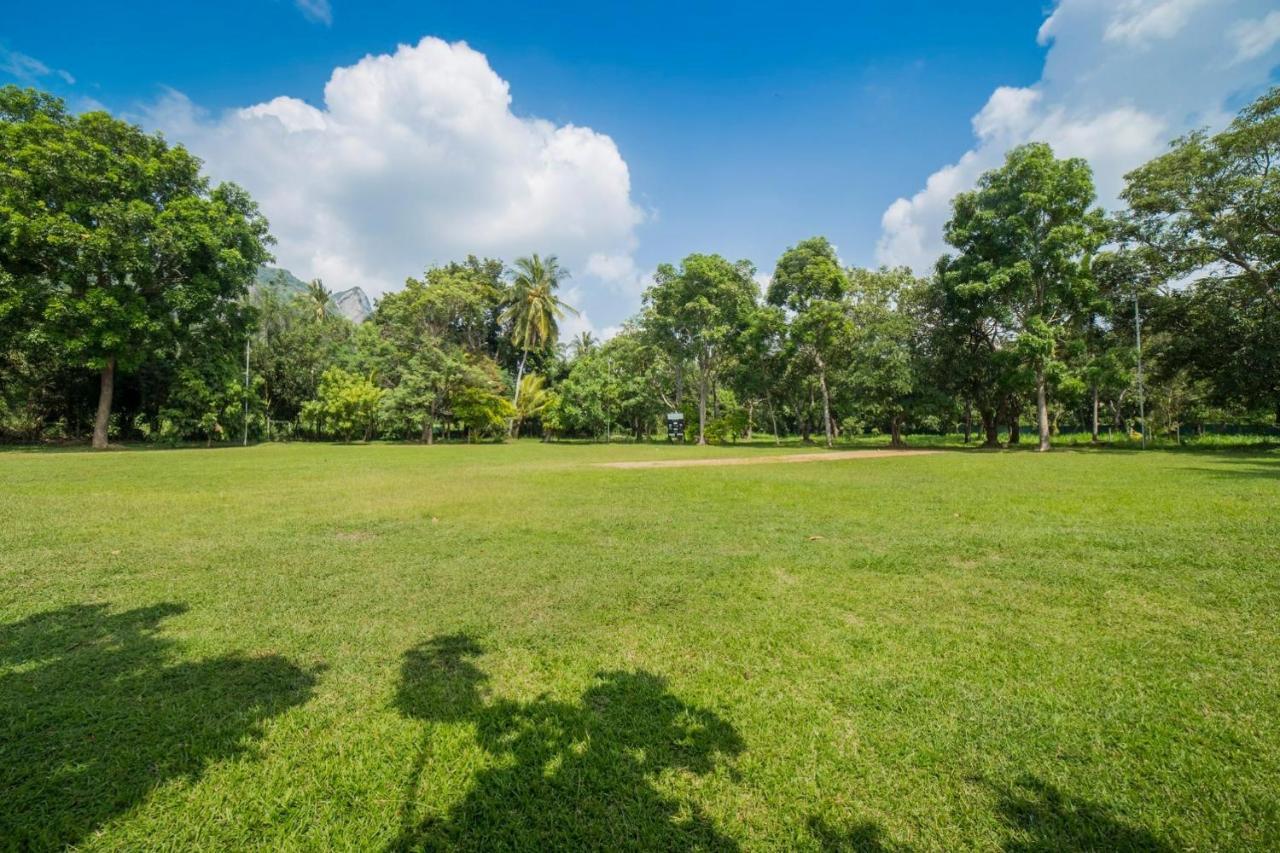 Mps Village Dambulla Kültér fotó